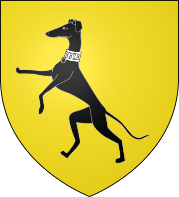 Family Coat of Arms de Constable