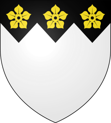 Blason de la famille de Chissey