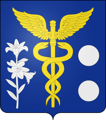 Family Coat of Arms Saillard