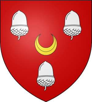 Family Coat of Arms de Hennezel