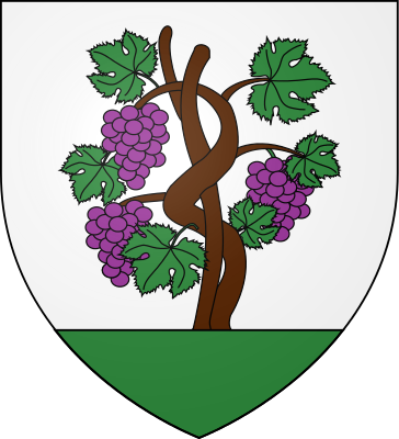 Blason de la famille Roüault de La Vigne