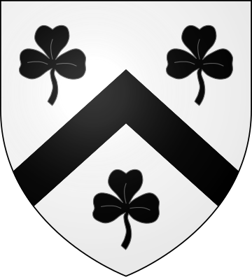 Family Coat of Arms Bourgoin