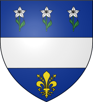 Family Coat of Arms de Chouly