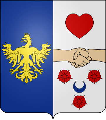 Family Coat of Arms Martin de Chassiron