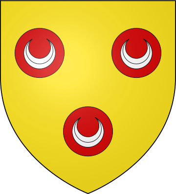 Family Coat of Arms de Mesplès