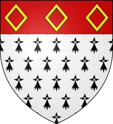 Family Coat of Arms de Boisboissel