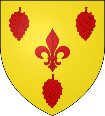 Family Coat of Arms de Penguern