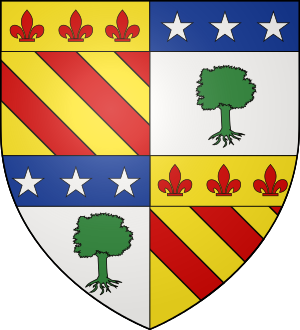 Family Coat of Arms Tron de Bouchony