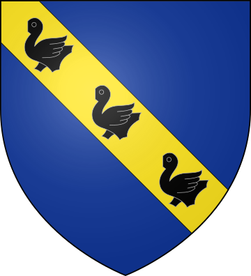 Family Coat of Arms Picquet