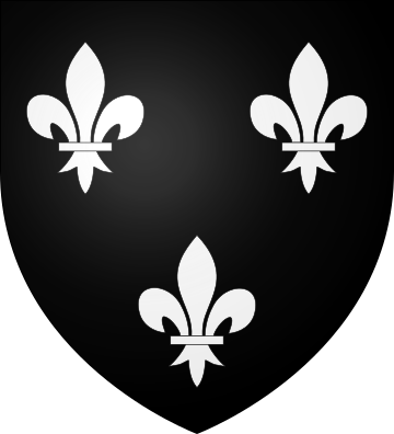 Family Coat of Arms Jubier