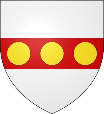 Blason de la famille de Gouin alias Gouyn