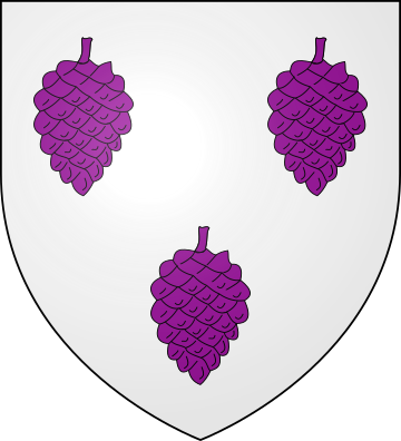 Family Coat of Arms Périgord de Villechenon