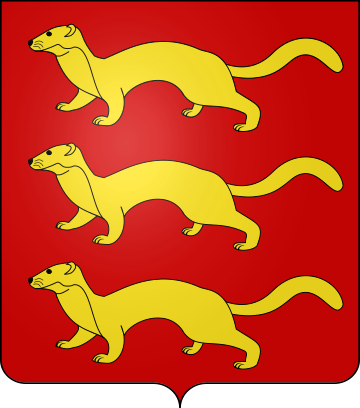 Family Coat of Arms des Androuins