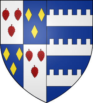 Blason de la famille du Pin de Saint-André (Albigeois, Rouergue, Quercy)
