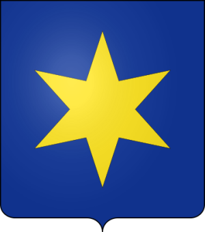 Family Coat of Arms de Maere (Belgique)
