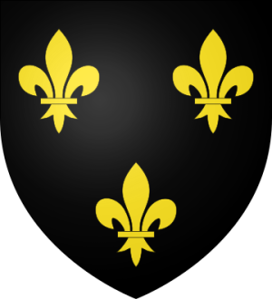 Family Coat of Arms Angier