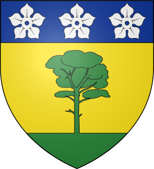 Blason de la famille de Rességuier (Languedoc, Rouergue, Guyenne)