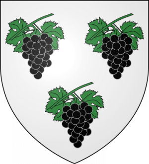 Blason de la famille Gascoing (Nivernais, Bourbonnais)