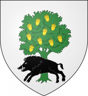 Blason de la famille de Kervéréguen (Bretagne)