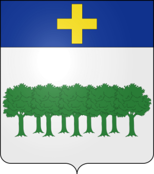 Family Coat of Arms Dubois de Saint-Jean (Comtat Venaissin)