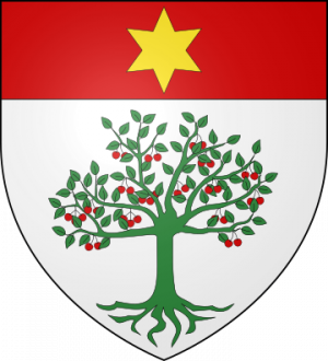 Blason de la famille de Duranti La Calade (Provence)