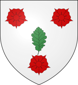 Family Coat of Arms de La Chesnaye (Bretagne)