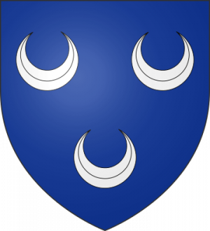 Blason de la famille d'Amelin de Rochemorin (Périgord)