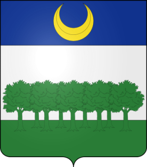 Family Coat of Arms de Dubois de Saint-Jean (Comtat-Venaissin, Vivarais)