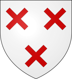 Family Coat of Arms van der Dilft (Belgique)