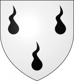 Blason de la famille Toublanc (Anjou, Bretagne)