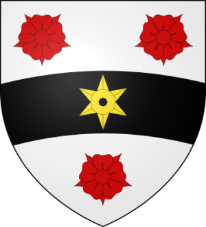 Blason de la famille du Pont (Bretagne, Anjou)