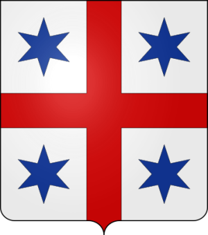 Family Coat of Arms Agie de Selsaeten (Belgique)