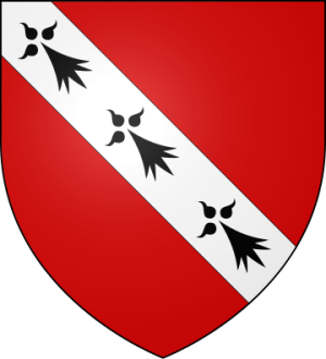 Blason de la famille de Salarun