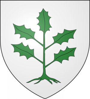 Blason de la famille Turnegouët (Bretagne)