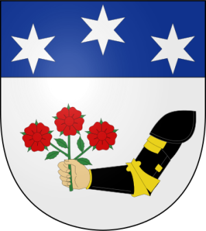 Family Coat of Arms de Pinto (Prusse, Province de Liège)
