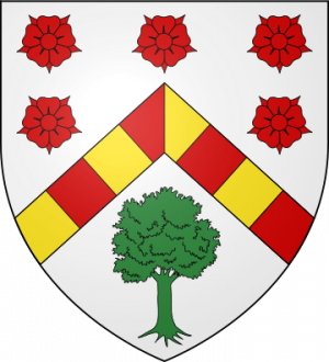 Blason de la famille Besse de Meymont (Auvergne)