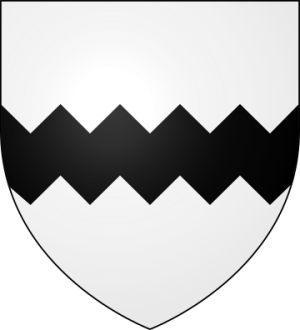 Blason de la famille Costard