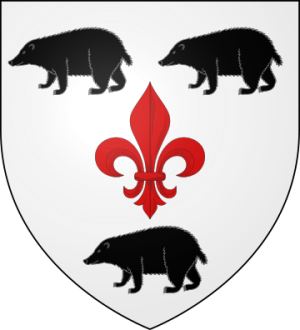 Family Coat of Arms de Lonlay