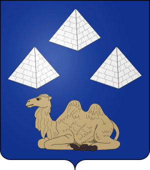 Family Coat of Arms de Susbielle