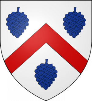 Blason de la famille de Citoys (Poitou)