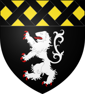 Family Coat of Arms de Brion