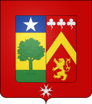 Family Coat of Arms de Sorbier de Pougnadoresse