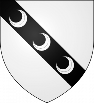 Blason de la famille Tuffin (Bretagne)