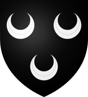 Family Coat of Arms de La Roche