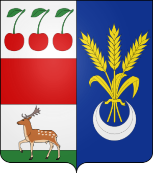 Family Coat of Arms Siraudin