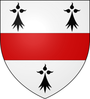 Family Coat of Arms de Bailleul