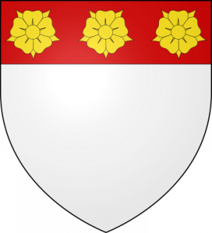 Blason de la famille de Mary de Longueville (Normandie)