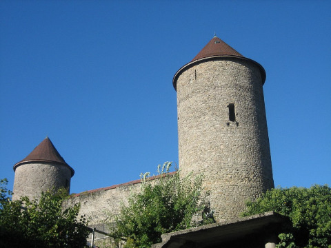 Château de Bonneville (Bonneville)