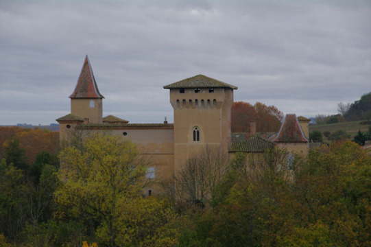 Château de Mézens (Mézens)