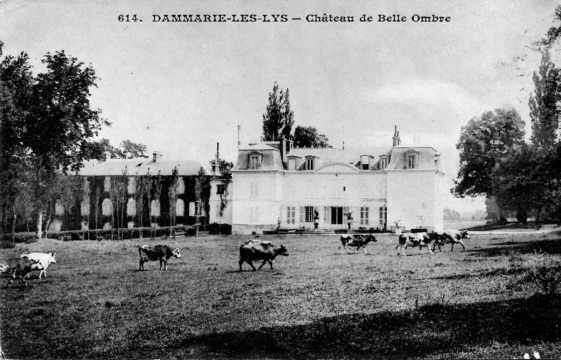 Château de Bellombre (Dammarie-les-Lys)